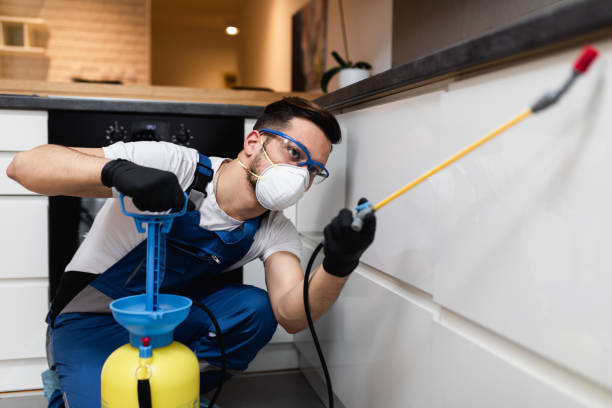 Best Mosquito Control Services  in West Jordan, UT