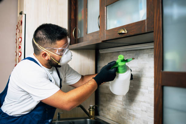 Best Best Pest Control Companies  in West Jordan, UT