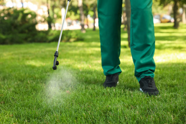 Best Pest Control for Restaurants  in West Jordan, UT