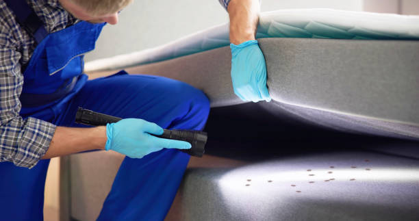 Best Pest Control Near Me  in West Jordan, UT