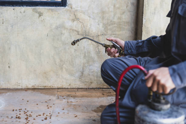 Best Pest Removal Services  in West Jordan, UT